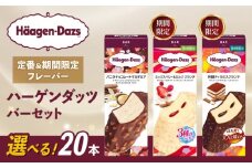 【セット内容が選べる】 定番 ＆ 期間限定フレーバー ハーゲンダッツ バー セット 20本入 Eセット 〈バニラチョコレートマカデミア(10本)、芳醇ティラミスクランチ(10本)〉｜ハーゲンダッツ アイスクリーム ギフト セット 詰め合わせ バニラチョコレートマカデミア ミックスベリー＆ミルク クランチ 芳醇ティラミスクランチ 愛媛県 松前町