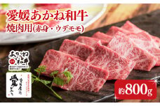 【昭和50年創業】愛媛あかね和牛 焼肉用 バーベキュー　BBQ　赤身ウデモモ（約800g） | 国産 和牛 牛肉 ブランド牛 ステーキ 焼肉 冷蔵 愛媛県 松前町 松前町おすすめ