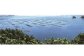 水揚げから加工まで一貫して、愛媛県漁協のＨＡＣＣＰ認定宇和島水産加工センターにおいて高度な衛生管理の下製造しております。