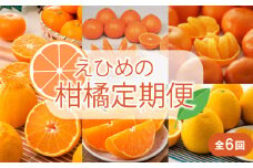 【2025年11月以降毎月発送】【定期便全6回】えひめかんきつ定期便 みかん 定期便 紅まどんな 伊予柑 いよかん デコポン 定期便 せとか 定期便 河内晩柑 国産 フルーツ 果物  定期便 オススメ 人気 愛媛 松前町  松前町おすすめ