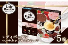 ロッテ レディーボーデン マルチ カップ セレクション ｜ レディーボーデン アイス セット 詰め合わせ バニラ チョコレート ストロベリー アイスクリーム 愛媛県 松前町 松前町おすすめ