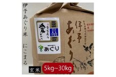 【選べるキロ数】米 玄米 10kg 伊予あぐり米「にこまる」 令和7年産 米 農薬・化学肥料不使用 米 玄米 令和7年産 米 お米 こめ 農薬・化学肥料不使用 こだわりのお米 愛媛県 松前町 松前 まさき 愛媛 えひめ おこめ 有限会社あぐり 愛媛県産米 松前町産米 美味しいお米   お米 贈答 贈り物 愛媛県 松前町 有限会社あぐり