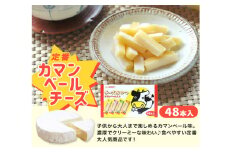 チーズおやつカマンベール 48本入り × 3箱 チーズ おやつ カマンベール ご褒美 ドンキ 個包装 手軽 人気 おすすめ 子供 大人 おつまみ スナック 愛媛県 松前町
