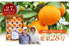 【数量限定】「愛果28号」M～Lサイズ 約2.7kg ネット包み平箱１段 〈愛果28号 みかん 柑橘 甘い ゼリー 愛媛 砥部町 産地直送 高級[№5310-0244]