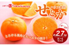 【数量限定 先行予約】愛媛県産せとか（ハウス）約2.7kg[50R0846] 【高島屋選定品】L～３Lサイズ(10～15玉) 1月下旬頃～順次発送＜ギフト 高級 甘い みかん    フルーツ＞  [№5310-0042]