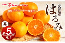【数量限定 先行予約】愛媛県産 はるみ 約5kg[50R0824] 【高島屋選定品】秀M～２Lサイズ 1月下旬頃～順次発送＜ギフト 高級 甘い みかん フルーツ＞   [№5310-0044]