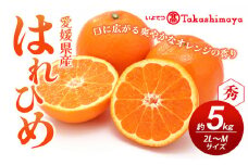 【数量限定 先行予約】愛媛県産 はれひめ 約5kg[50R0813] 【高島屋選定品】M～2L サイズ＜ギフト 甘味 濃厚 みかん フルーツ＞ [№5310-0045]