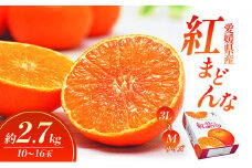 【数量限定 先行予約】愛媛県産 紅まどんな2.7kg[50R0986]【高島屋選定品】青秀 M～３Lサイズ（10～16玉）12月上旬頃～順次発送 ＜ギフト 正規品 甘い みかん フルーツ＞ [№5310-0047]