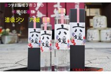 水口酒造 道後ジン「六媛」200ml　クラフトジン スピリッツ 愛媛 [№5310-0127]