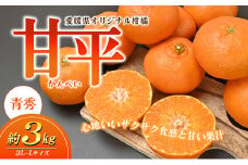 愛媛県産JA正規品 甘平（かんぺい）（青秀）3Kg 3L～L（2025年1月～順次発送）【旬 甘い みかん 蜜柑 柑橘 かんきつ 高級 先行予約】 [№5310-0023]