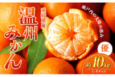 愛媛県産JA正規品 温州みかん【優】約10Kg L～Sサイズ（2024年11月～順次発送）【旬 甘い みかん 蜜柑 柑橘 かんきつ 高級 先行予約】[№5310-0030]