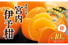 愛媛県産JA正規品 宮内伊予柑（いよかん） 約10Kg【優】3L～L（2025年1月～順次発送）【旬 甘い みかん 蜜柑 柑橘 かんきつ 高級 先行予約】 [№5310-0032]