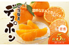 愛媛県産JA正規品 デコポン（青秀）5Kg 3L～L（2025年3月～順次発送）【旬 甘い みかん 蜜柑 柑橘 かんきつ 高級 先行予約】 [№5310-0033]