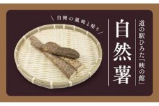 山のごちそう 自然薯（じねんじょ） [№5310-0019]