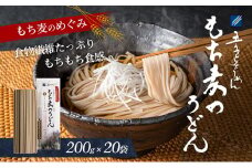 もち麦のうどん(200g×20袋)40食分【愛媛県産もち麦 練り込み 常温 長期保存可 詰合せ 食物繊維 もちもち 食感 冷 温 おすすめ】 [№5310-0198]