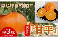 【数量限定　先行予約】訳あり甘平サイズ不揃い約3キロ家庭用　１月上旬頃～順次発送〈産地直送　愛媛県　甘い　みかん　フルーツ〉 [№5310-0205]