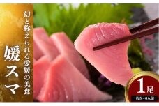 愛媛県産養殖「媛スマ」 [№5310-0207]