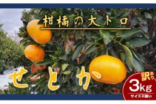 【数量限定　先行予約】訳ありせとかサイズ不揃い約3キロ家庭用 ２月下旬頃～順次発送〈産地直送　愛媛県　甘い　みかん　フルーツ〉 [№5310-0219]