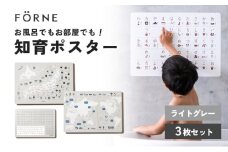 知育ポスター3枚セット（ライトグレー）（日本地図・世界地図・ローマ字）【幼稚園 小学生 オシャレ 学習用 防水加工 知育 情操教育 おしゃれ 子供 シンプル ギフト お祝い 入園 入学】 [№5310-0214]