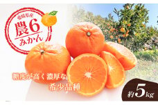 農6みかん「とべ農六柑」希少な品種の柑橘（かんきつ中間母本農6号）5kg　 柑橘 種類 甘い 品種 アロマ おすすめ 愛媛 マドンナ 今が旬 　 [№5310-0227]