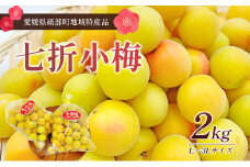 七折小梅（生梅）２kg※2025年5月下旬～６月下旬頃から順次発送【先行予約 数量限定 砥部町 愛媛県 名産品 加工用 梅干し 梅酒 梅ジュース 梅シロップ 梅干しコンクール優秀賞 貴重】[№5310-0232]