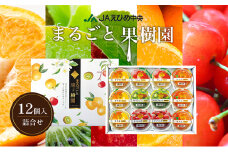カップゼリーまるごと果樹園詰め合わせ5種12個セット（伊予柑、みかん、りんご、キウイフルーツ、さくらんぼ）No.12【柑橘 ゼリー 果肉 果実 果汁 果物 フルーツ 国産 愛媛県産 スイーツ おやつ ギフト お中元】[№5310-0234]