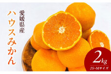 〈夏季限定！申込8/17まで〉温室育ちの温州みかん2.0kg(約15～25個)【甘い 夏のミカン オレンジ ハウスみかん 早生 冷やして 柑橘 フルーツ 果物 愛媛 砥部 JA 7月 8月 9月 ギフト 贈答】[№5310-0237]