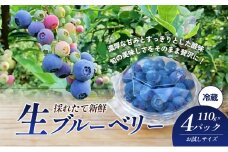 愛媛県砥部町産とれたて新鮮でお届け！生ブルーベリーおためしサイズ110ｇ×4パック　【期間限定～7/15まで】 冷蔵 甘い アントシアニン デザート フルーツ ヨーグルト スムージー 生 まるごと おやつ 今が旬[№5310-0238]