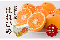 はれひめ M～2Lサイズ 約2.5kg 申込11月30日まで 12月上旬から順次発送【みかん ミカン オレンジ かんきつ 柑橘 フルーツ 果物 くだもの おやつ スイーツ 甘い ジューシー 愛媛県】 [№5310-0241]