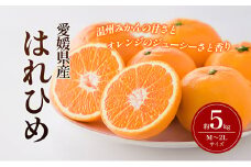 はれひめ M～2Lサイズ 約5kg 申込11月30日まで 12月上旬から順次発送【みかん ミカン オレンジ かんきつ 柑橘 フルーツ 果物 くだもの おやつ スイーツ 甘い ジューシー 愛媛県】 [№5310-0242]