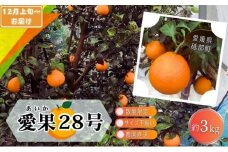 【先行予約 数量限定】訳あり 愛果28号 サイズ不揃い 約3kg 約15玉前後 12月上旬頃から順次＜家庭用 農園 直送 みかん 柑橘 旬にお届け 先行 受付 砥部町 愛媛 3キロ 箱＞[№5310-0253]
