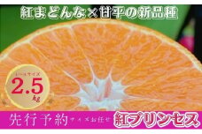 愛媛県産 紅プリンセス (愛果48号) L～3L サイズ 2.5kg バラ詰め ご家庭用 (申込は2/28まで 2025年3月から発送予定)【 JA正規品 みかん あいか 】[№5310-0281]