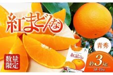 【100箱限定！申込11/20まで】愛媛県産 紅まどんな 「青秀」JA正規品 約3kg10玉～15玉入り 数量限定 12月～順次発送＜柑橘 甘い 高級 極上 JA直送 正規みかん 愛果28号＞ [№5310-0022]