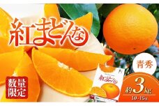 【100箱限定！申込11/20まで】愛媛県産 紅まどんな 「青秀」JA正規品 約3kg10玉～15玉入り 数量限定 12月～順次発送＜柑橘 甘い 高級 極上 JA直送 正規みかん 愛果28号＞ [№5310-0022]