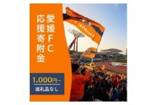 愛媛FCへの支援に活用させていただきます！　　　　　　　　　　　　　　　　　　　　　　　　　　　　　　　　　　　
【返礼品なし】愛媛FCへのご寄付 1,000円[№5310-0296]