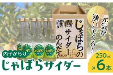 内子からり　じゃばらサイダー（250ml×６本入り）【飲料 ソフトドリンク 人気 おすすめ 送料無料】