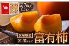 富有柿 2L玉サイズ 約3kg（12玉入り）【フルーツ 果物 くだもの 食品 人気 おすすめ 送料無料】