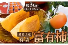 有袋富有柿 2L玉サイズ 約3kg（12玉入り)【フルーツ 果物 くだもの 食品 人気 おすすめ 送料無料】