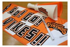 ＼試合の必需品！／応援セット（タオル・メガホン・ペンライト）【玩具 雑貨 日用品 人気 おすすめ 送料無料】