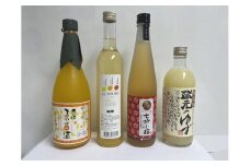愛媛県産「果実系リキュール」呑み比べセット【食品 加工食品 人気 おすすめ 送料無料】