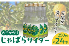 道の駅からり直送！内子からりじゃばらサイダー（１ケース２４本入り）【飲料 ソフトドリンク 人気 おすすめ 送料無料】