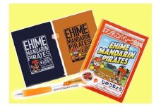 パイレーツ文具セット（自由帳、ボールペン、クリアファイル）