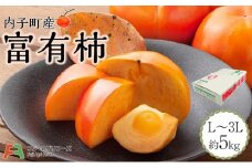 内子町産　富有柿(L~3L)　5kg【北海道・沖縄配送不可】【フルーツ 果物 くだもの 食品 人気 おすすめ 送料無料】