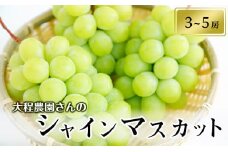 大程農園のシャインマスカット【約2kg　3～5房入り】