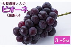 大程農園のピオーネ（種無し）【約2kg　3～5房入り】
