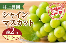 井上農園のシャインマスカット【約2kg　3～5房入り】
