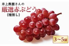 井上農園の厳選赤ぶどう（種無し）【約2kg　3～5房入り】