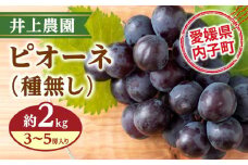 井上農園のピオーネ（種無し）【約2kg　3～5房入り】