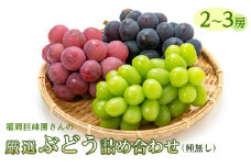 福岡巨峰園の厳選ぶどう詰め合わせ（種無し）【約2kg 3～5房入り】【フルーツ 果物 くだもの 食品 人気 おすすめ 送料無料】
