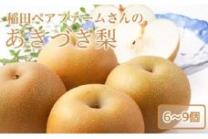 稲田ペアファームのあきづき梨（2）【6～9玉入り】【フルーツ 果物 くだもの 食品 人気 おすすめ 送料無料】